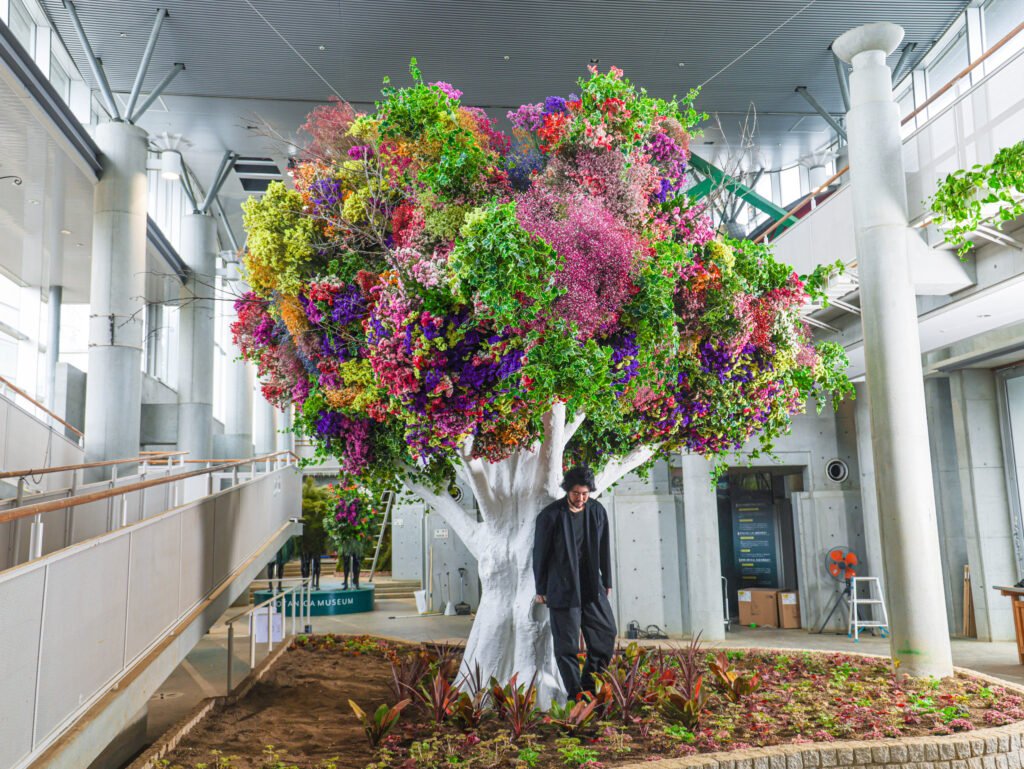 🌸 보타니카 뮤지엄 이미지 6